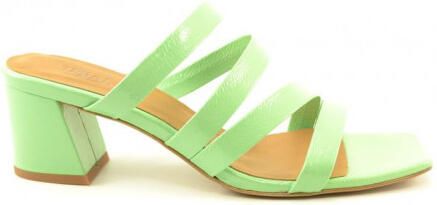 Toral Tl-12672