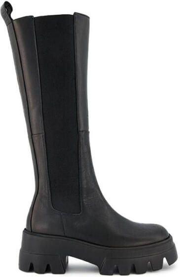 Toral Tl 12799