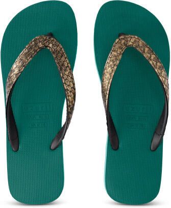 Uzurii Python bronze bosgroen
