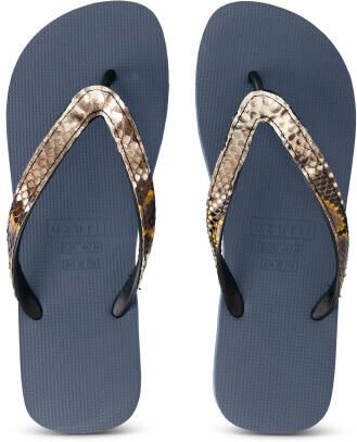 Uzurii Python taupe marineblauw