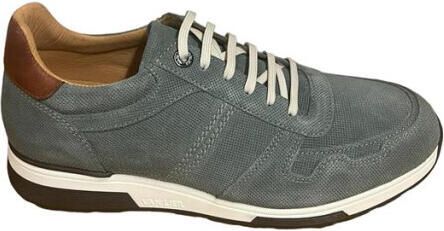 Van Lier 2415512