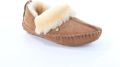 Warmbat Barrine cognac dames pantoffel (gesloten hiel) - Bruin