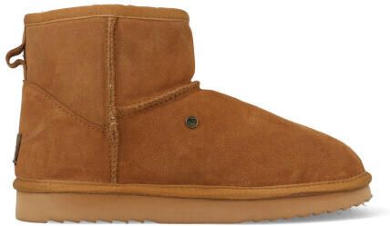 Warmbat Boots wallaby wly421025