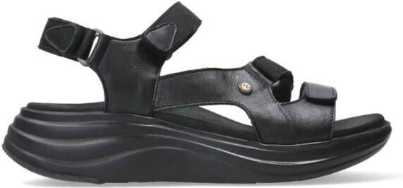 Wolky Sandalen