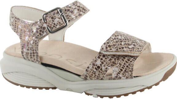 Xsensible 30312.5.428-h dames sandalen sportief