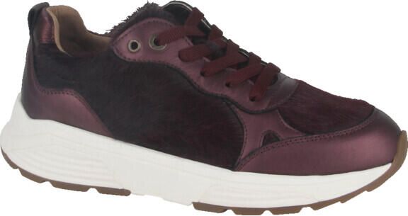 Xsensible 33009.4.729-g dames sneakers