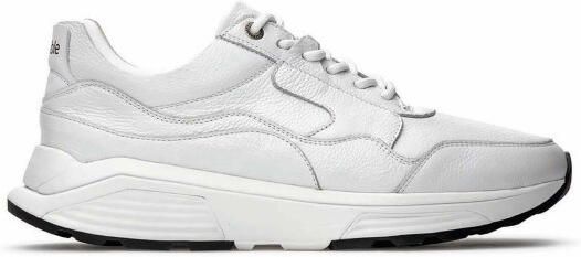 Xsensible Golden gate men h