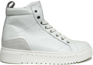 Aqa sneaker art A8036 A18A54 white