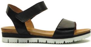 Aqa shoes A8115