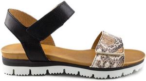 Aqa shoes A8365