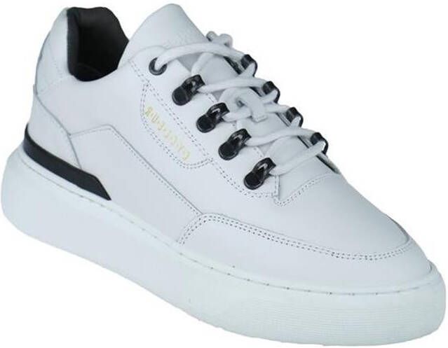 Cycleur de luxe Limit Sneakers