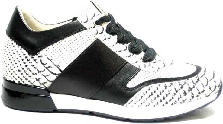Dl sport 4636 Sneakers