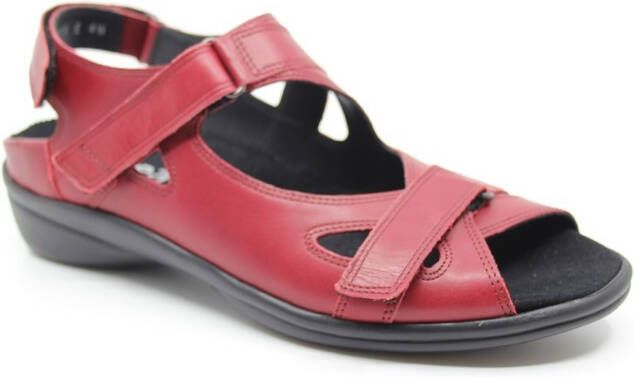 Durea 7258 215 3171 wijdte E Rood Kers 41 5 ) - Foto 3