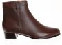 Everybody 11654 castagno Bruin - Thumbnail 2