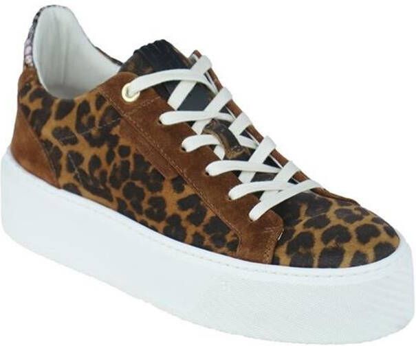 Floris van Bommel SFW-10106-23-01~~~~~~~~~~~~~~~ Lage sneakersDames sneakers Bruin - Foto 16