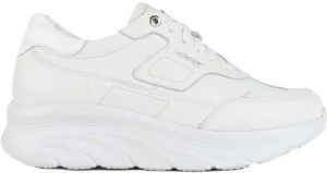 Footnotes 26.002 Wijdte K