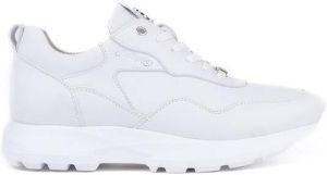 Footnotes 91.001 wijdte H