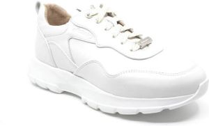Footnotes 92.001 wijdte K