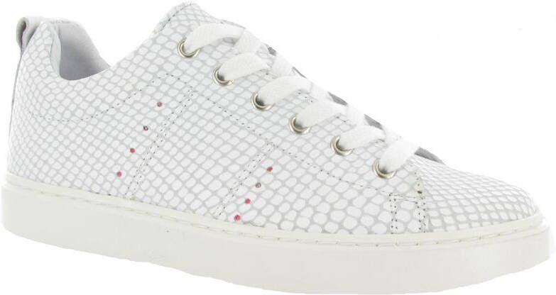 Giga Shoes 9168 Sneakers