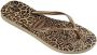 Havaianas Slim Animals teenslippers met panterprint goud - Thumbnail 8