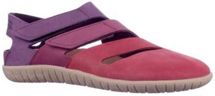 Loints of holland 78101 _Beekkant