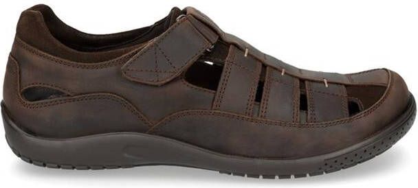 Panama Jack Meridian Basics