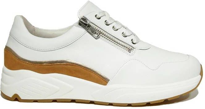 Solidus 66007 wijdte K
