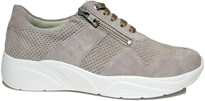 Solidus 66017 Sneakers