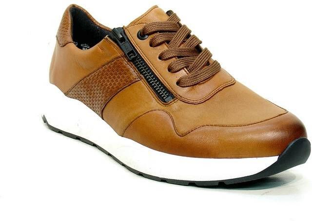 Solidus 66501