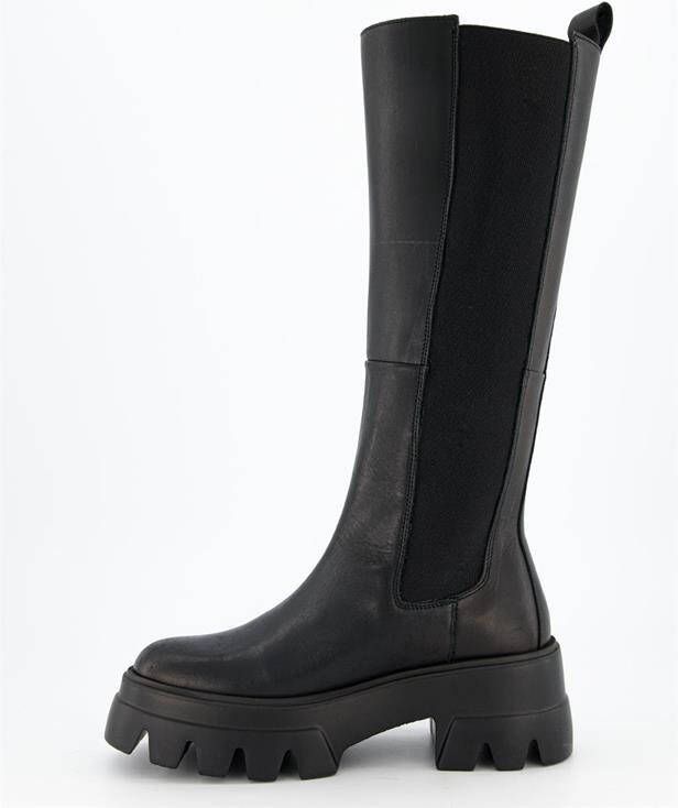 Toral chelsea boots zwart cheap