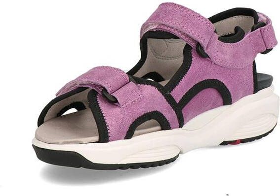 Xsensible 30299.5 wijdte H Sandalen - Foto 2