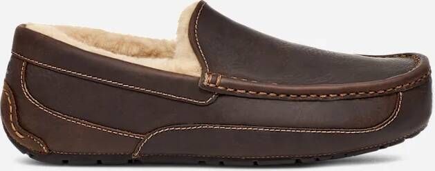 Ugg Ascot-pantoffel voor heren in Brown