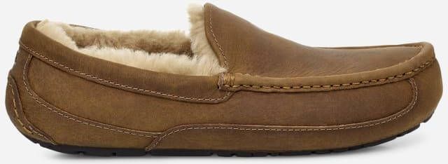 Ugg Ascot-pantoffel voor heren in Brown