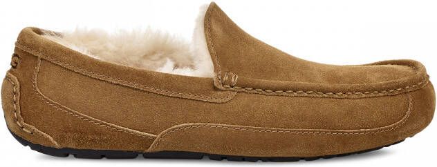 Ugg Ascot Pantoffels voor Heren in Brown