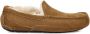 Ugg Ascot Pantoffels voor Heren in Brown - Thumbnail 7
