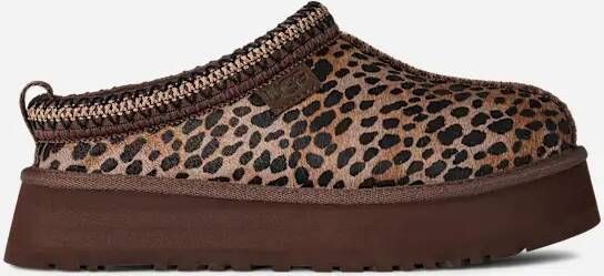 Ugg Tazz Caspian in Brown