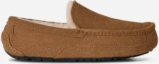 UGG Pantoffels Heren Ascot Suède Cognac - Foto 12