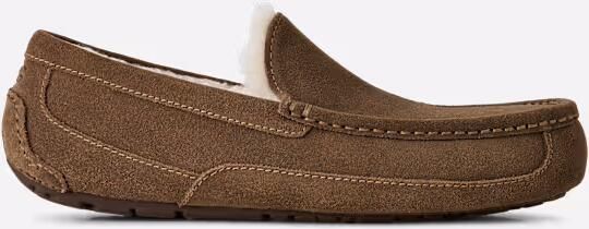 Ugg Ascot voor heren in Brown