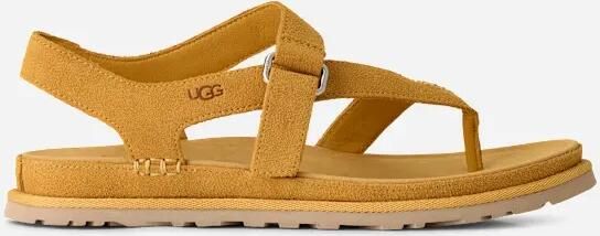 Ugg GoldenGaze Toe Post in Wheat Field