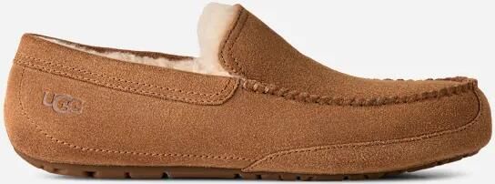 Ugg Linscot Slipper in Brown