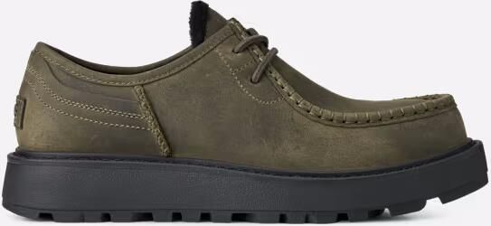 Ugg Loften-chukka in Green