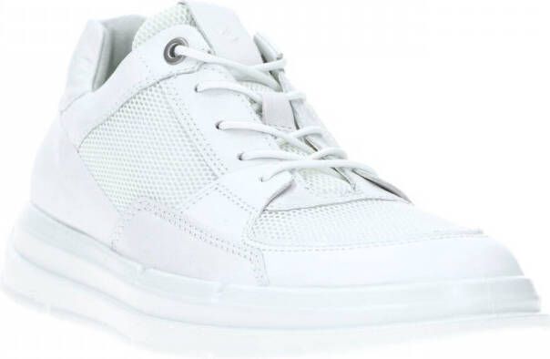 ECCO Soft x sneaker