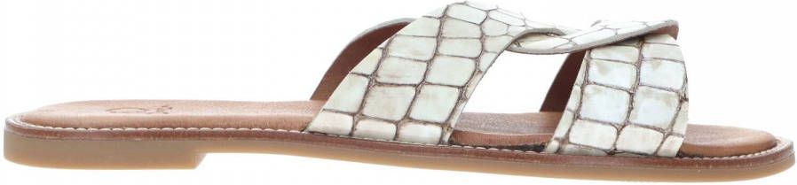 MOOY Schoenen online kopen? Vergelijk op Schoenen.nl