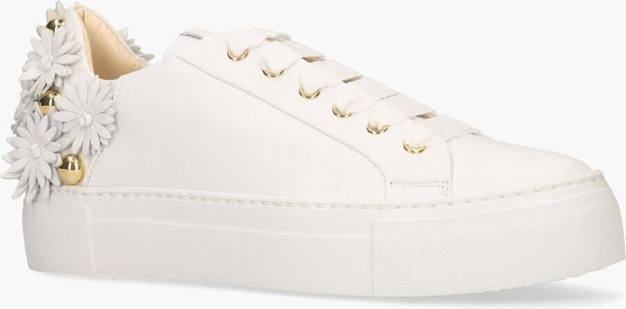 Agl Attilio Giusti Daisy Wit