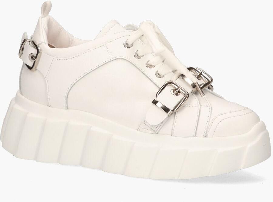 Agl Attilio Giusti Lidia Buckles Wit