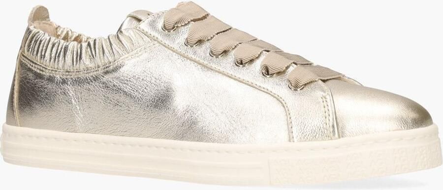 Agl Attilio Giusti Suzie Goud - Foto 2