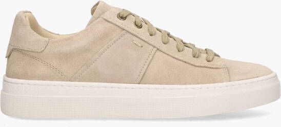 Agucino Ted Taupe