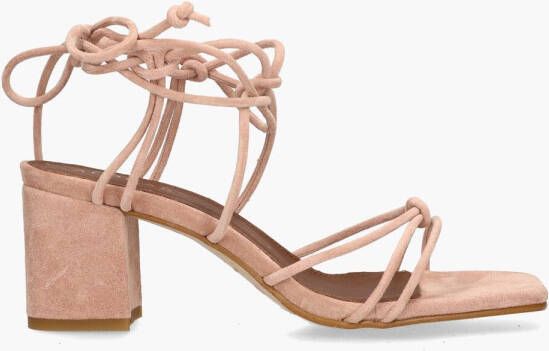 Alohas Paloma Roze