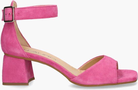Altramarea Odie Roze