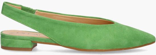 Altramarea Ravina Groen